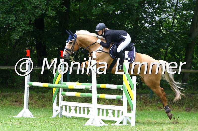 007L8134_Grandeur_Spring Axx_e.JPG